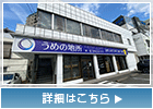 本店